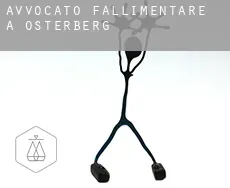 Avvocato fallimentare a  Osterberg