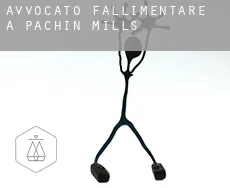 Avvocato fallimentare a  Pachin Mills