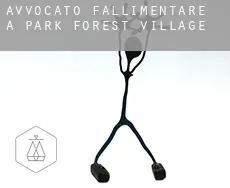 Avvocato fallimentare a  Park Forest Village