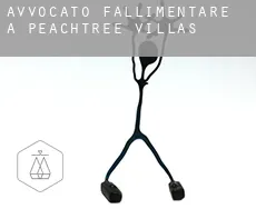 Avvocato fallimentare a  Peachtree Villas
