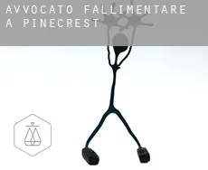 Avvocato fallimentare a  Pinecrest