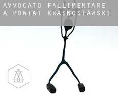 Avvocato fallimentare a Powiat krasnostawski