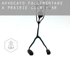 Avvocato fallimentare a  Prairie County