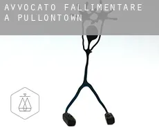 Avvocato fallimentare a Pullontown
