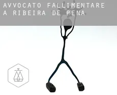 Avvocato fallimentare a  Ribeira de Pena