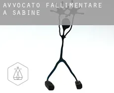 Avvocato fallimentare a  Sabine