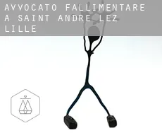 Avvocato fallimentare a  Saint-André-lez-Lille