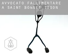 Avvocato fallimentare a  Saint-Bonnet-Tison