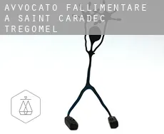 Avvocato fallimentare a Saint-Caradec-Trégomel