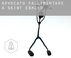 Avvocato fallimentare a Saint-Edmond