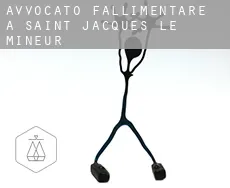 Avvocato fallimentare a  Saint-Jacques-le-Mineur