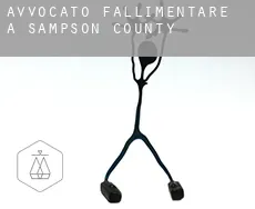 Avvocato fallimentare a  Sampson County