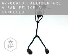 Avvocato fallimentare a San Felice a Cancello