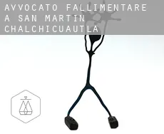 Avvocato fallimentare a San Martin Chalchicuautla