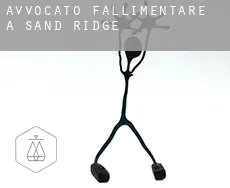 Avvocato fallimentare a  Sand Ridge