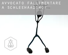Avvocato fallimentare a  Schleehardshof