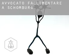 Avvocato fallimentare a  Schomburg