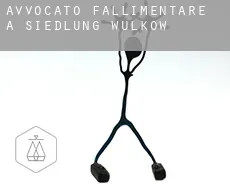 Avvocato fallimentare a  Siedlung Wulkow