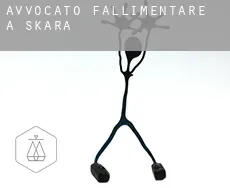 Avvocato fallimentare a  Skara