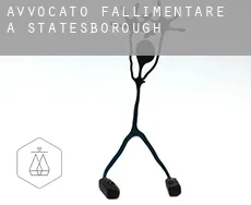 Avvocato fallimentare a  Statesborough