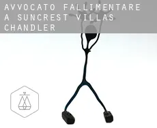 Avvocato fallimentare a  Suncrest Villas Chandler