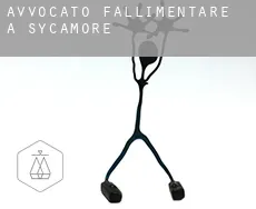 Avvocato fallimentare a  Sycamore
