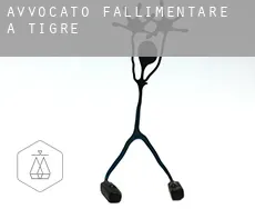 Avvocato fallimentare a Tigre