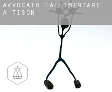 Avvocato fallimentare a  Tison