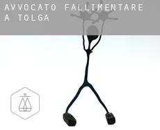 Avvocato fallimentare a  Tolga