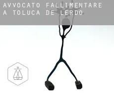 Avvocato fallimentare a Toluca