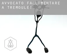 Avvocato fallimentare a  Trémoulet