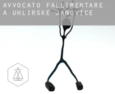Avvocato fallimentare a Uhlířské Janovice