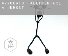 Avvocato fallimentare a Unhošť