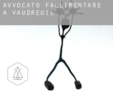 Avvocato fallimentare a  Vaudreuil