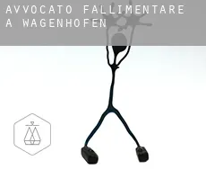 Avvocato fallimentare a  Wagenhofen