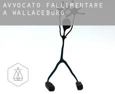 Avvocato fallimentare a  Wallaceburg
