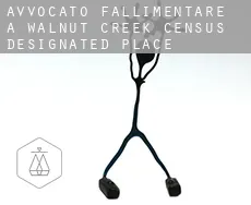 Avvocato fallimentare a  Walnut Creek