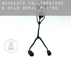 Avvocato fallimentare a  Wild Horse Plains