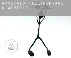 Avvocato fallimentare a  Wipfeld