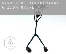 Avvocato fallimentare a  Zion Grove