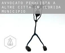 Avvocato penalista a  Altre città in Florida Municipio