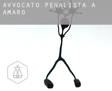 Avvocato penalista a  Amaro