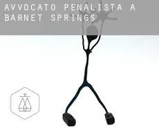 Avvocato penalista a  Barnet Springs