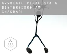 Avvocato penalista a Dietersdorf am Gnasbach