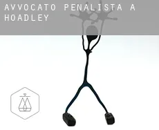 Avvocato penalista a  Hoadley