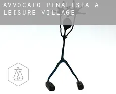 Avvocato penalista a  Leisure Village