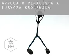 Avvocato penalista a Lubycza Królewska
