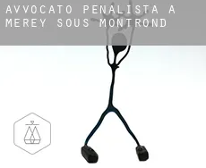 Avvocato penalista a Mérey-sous-Montrond