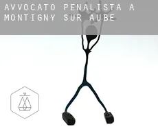 Avvocato penalista a Montigny-sur-Aube