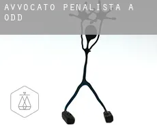 Avvocato penalista a  Odd
